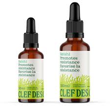 T. Reishi 100ml  (100ml)