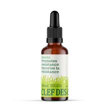 Reishi T. (50ml)