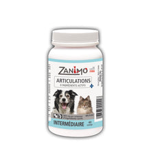 Zanimo Articulation Intermediaire (40 Cos)
