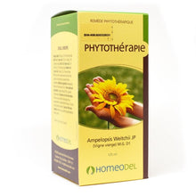 Gemmotherapie Ampelopsis Veithi (120ml)