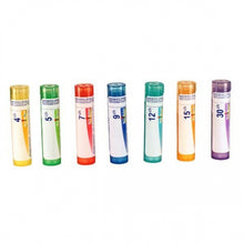 Phosphorus 15CH (80 Pellets)