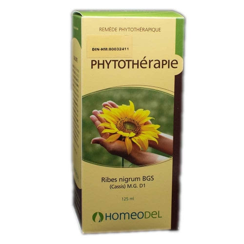 Phytotherapie Ribes Nigra (125ml)