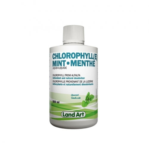 Chlorophylle Menthe (500ml)