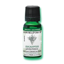 Huile Essentielle Eucalyptus (15ml)