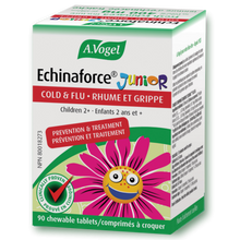 Echinaforce Junior (90 Comprimés)