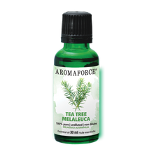 Huile Essentielle Melaleuca (30ml)