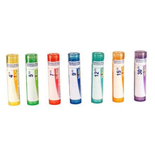 Arnica Montana 9ch (80 Pellets)