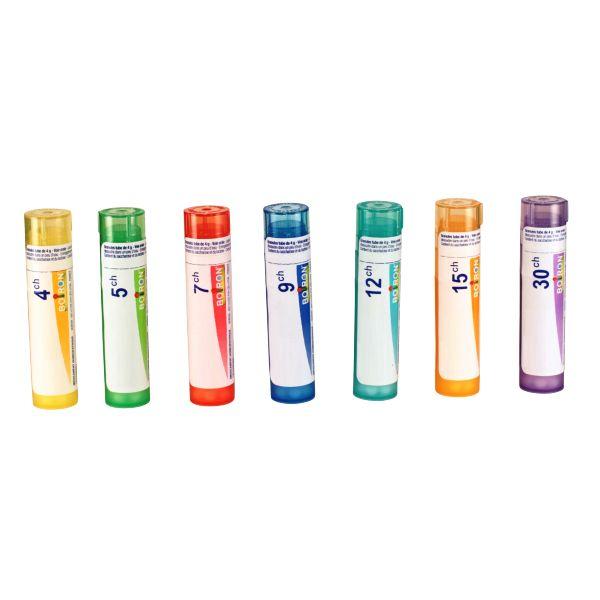 Actaea Spicata 7ch (80 Granules)