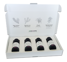 Coffret Huiles Essentielles Borealis (4x10ml)